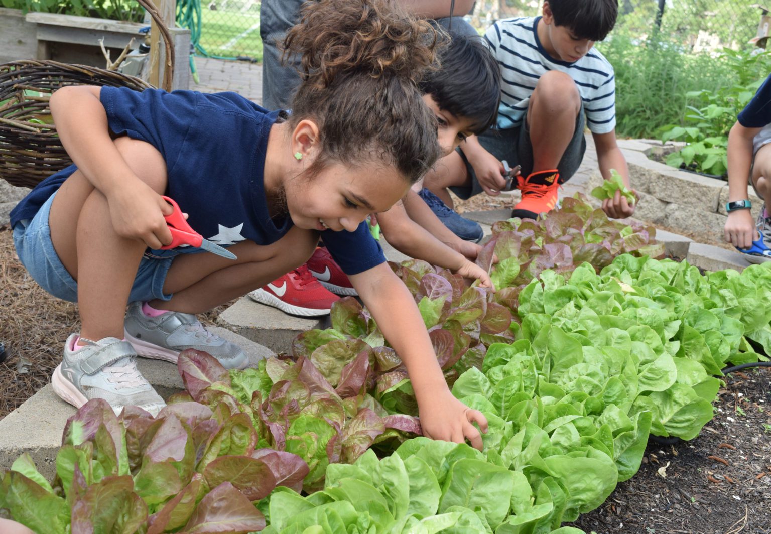 veggie-village-interfaith-of-the-woodlands